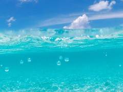 [홉슈] 푸른 바다의 소년