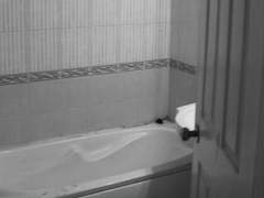 계란죽의 맛 上