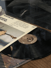 𝘍𝘢𝘷𝘰𝘳𝘪𝘵𝘦 𝘓𝘺𝘳𝘪𝘤𝘴