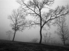 커피 향기에 끌리셨나 보죠?