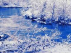 유키노 유우키* 19 * 검도부 * 카타나