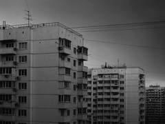 계란죽의 맛 下