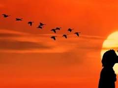 등전만리심(燈前萬里心)_21