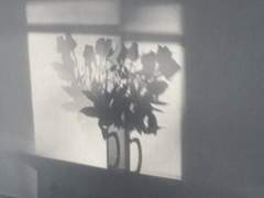 You have a stupid idea that makes me laugh.