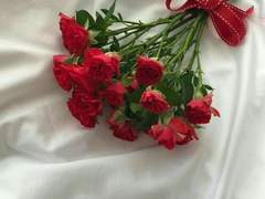 happy birthday, my sweetheart