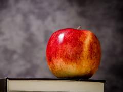 [ 앤드류 터너 / 프로필 ]