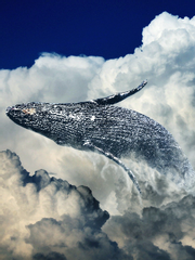 푸르고 푸른 고래들