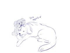 252보고 빠개진 멘탈 추스리기