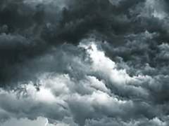 바람이 그랬노라.