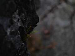 있잖아요, 제가 후회하지 않는 것이 있다면