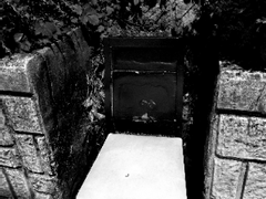 EP.2 !상태이상: [탈출이 아니면 죽음을]발생