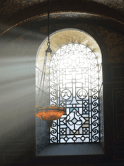 오메가버스 시리즈