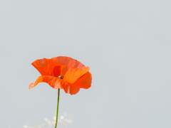 쉬어가기로 했습니다 25