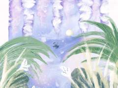 논컵 | 1초의 소풍