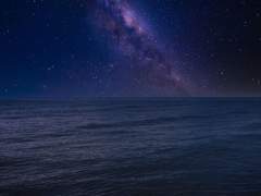 확신할 수 있을 때까지.