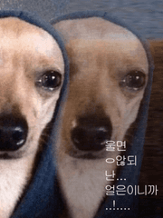 주절주절 늘어놓기 아무말 대잔치