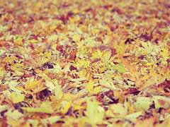 [방탄소년단 빙의글 / 남주물] 추석특집으로 썼었던 글. 上