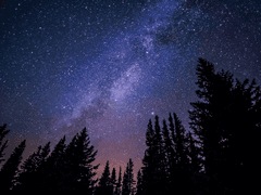 멀리 있어도 결국 우린 묶여있으니