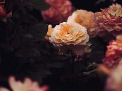 나를 떠나지 마, 떠나 보내지도.