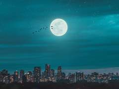 그 밤, 룬데인 : 01