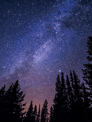 떠나온 인연의 편지