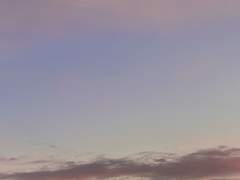 하루는 내 마음도 모르고 곱기만 했다