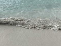 당신 떠난 발자국마저 금세 흩어졌다