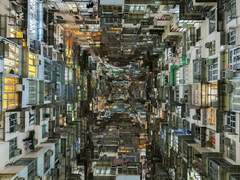 [셎승] 구룡지몽(九龍持夢)