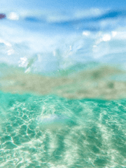 [KOF/암경]無人島物語(무인도이야기)(완결)