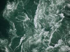 [죠죠] 무척이나 검고 푸르른