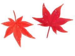 [클립스튜디오] 류펜_단풍 반짝 브러쉬(할인)