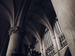 Alis volat propriiss .