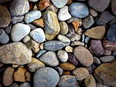 [ 벤야민 힐 / 18살 ]