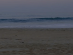 백업 / 긴 이별을 위한 짧은 편지