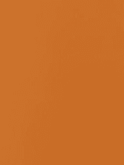 흉부외과 김준완 교수