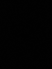 랭지토미 직원 낙서