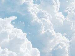 엑스트라로 살아남기