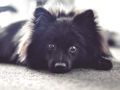 [Buster Bros/논커플링] Brand new Yamada!