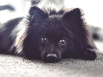 [Buster Bros/논커플링] Brand new Yamada!