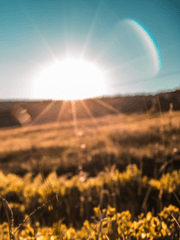 [귀곡의문] 이심이