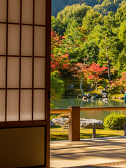 어느 혼마루의 평범한 사니와