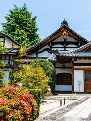 마음 주면 받아주나요