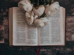 신은 죽었다, 찬란하게도!