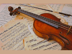 마세커 3기 프로필