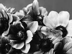 ＴＲＩＮＩＴＹ