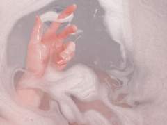 [츠루마리] 섹못방 타로