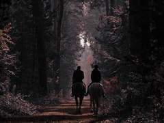 [리들아샤] 키스 오마카세