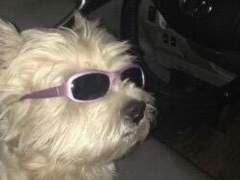 나에기 갠봇 대화 백업