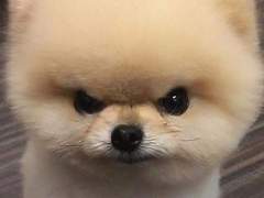 드림 일짱 이여주 모먼트 EP.0