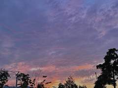 어쩌면 이유가 필요한 날들